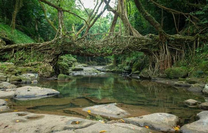 Shillong Tour Package